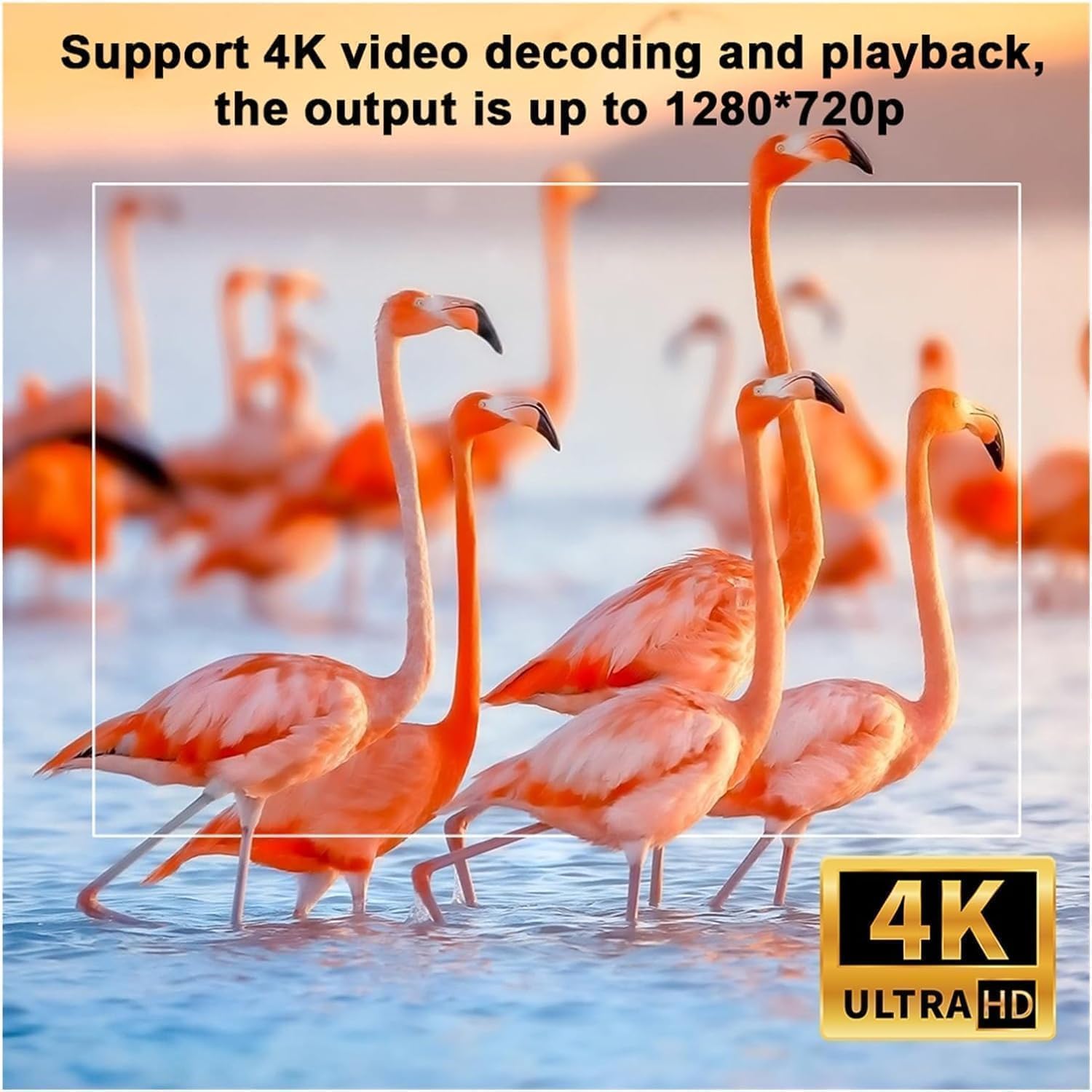 Outdoor Mini Projector R1 with Battery